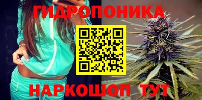 MESCALINE Кингисепп