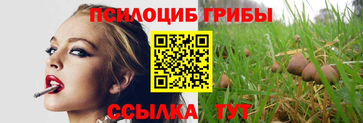Галлюциногенные грибы Cubensis Кунгур