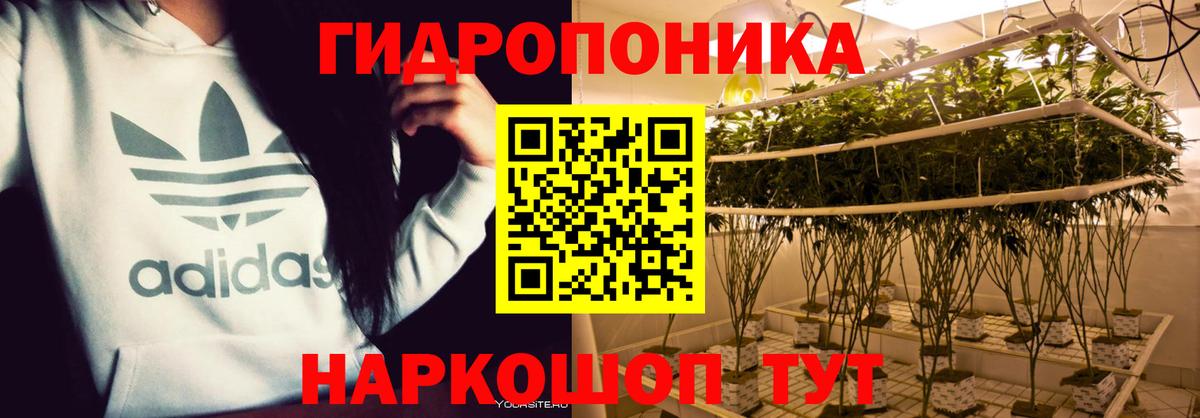 Бошки Шишки марихуана  Бошки марихуана планчик  Вход с VPN  Кунгур 